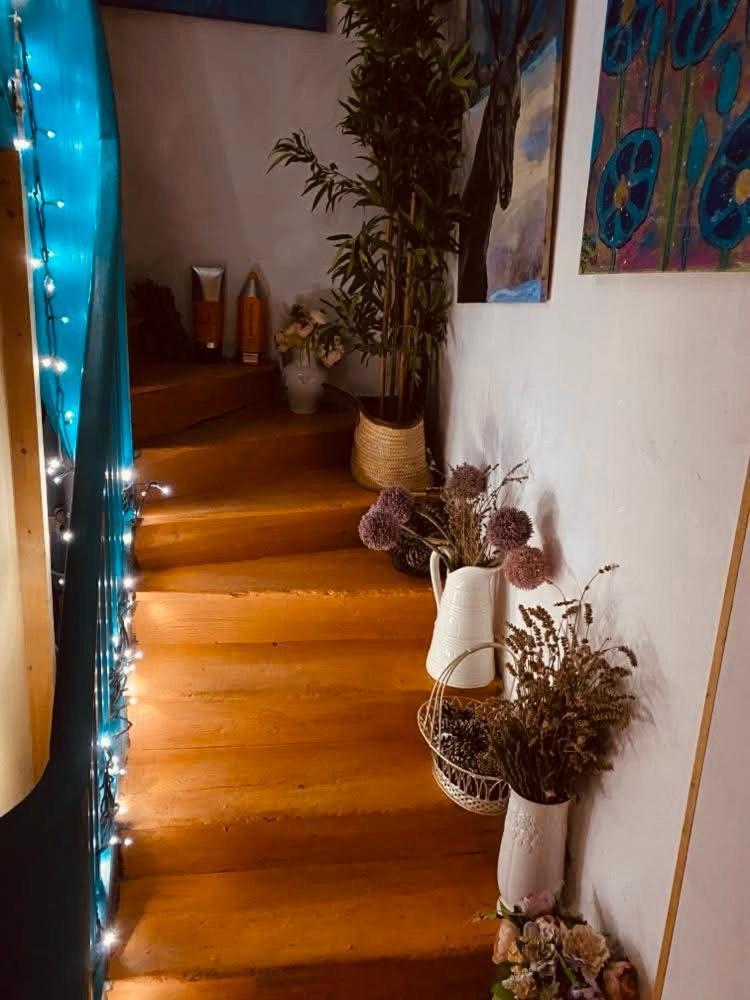米尔普瓦迷宫旅馆住宿加早餐旅馆 外观 照片
